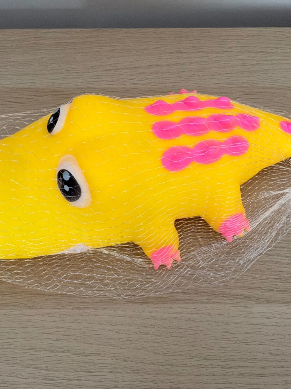 PPNC Gator